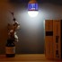 Инсектицидная лампа приманка для насекомых Zapp Light 9W, Led лампа + уничтожитель насекомых