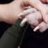 Гриндер для когтей домашних животных Purlov 21638 беспроводная электрическая точилка триммер с двумя насадками USB зарядка + ножницы когтерез