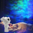 Лазерный ночник проектор звездного неба Astronaut светодиодный LED светильник для детей поворот головы на 360° USB с пультом и Bluetooth колонкой