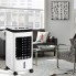 Портативный напольный мини кондиционер 3 в 1 Royalty Line AC-80.880.3 переносной охладитель с увлажнителем и очистителем воздуха на 80 Вт резервуар 4 л
