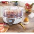 Сушилка электрическая для овощей фруктов грибов и мяса Quigg XJ-14709C0 дегидратор на 350 Вт 5 лотков терморегулятор с таймером ЖК дисплей