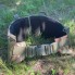 Разгрузочный жилет РПС M-KET Мультикам тактический военный пояс и плече-ременная система с крепелнием MOLLE размер L